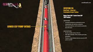 Upper Zone ESP  Lower Zone ESP ESP Packer  System 24 [upl. by Asylem]