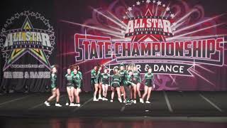 TNT All Stars C4 Coed Open Level 4  AASCF States 2022 [upl. by Cthrine]