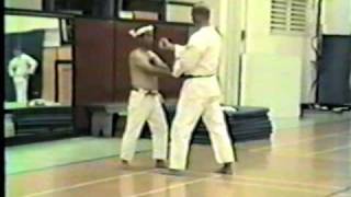 Sanchin kata  2 of 4 Bunkai Angi Uezu Isshinryu [upl. by Allekim77]