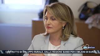 Contratto di sviluppo rurale dalla Regione bandi per 8 milioni di euro [upl. by Ardnalahs]