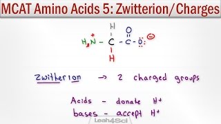 Zwitterion and Amino Acid Charge Given pH and pKa [upl. by Holtz]