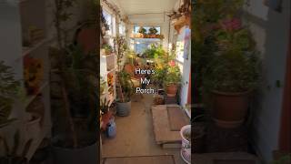 Getting ALL my PLANTS 🥶 Indoors for WINTER containergardening wintergarden gardentour [upl. by Alger604]