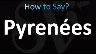 How to Pronounce Pyrenees French [upl. by Leahcir]