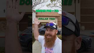 Dollar Tree Dinner for about 10 poormanscomfortfood dollartree budgetmeals dollartreedinners [upl. by Houlberg]