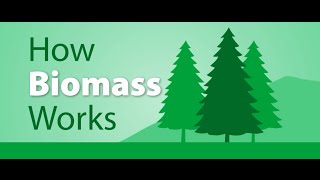 How Biomass works [upl. by Irrok]