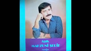 Aşık Mahzuni Şerif  Deli Miyim Ben [upl. by Boys]