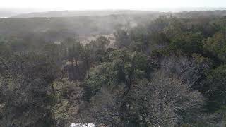 Texas Cedar trees disgorging their pollen [upl. by Eniroc]