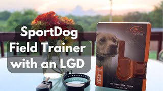 SportDog Field Trainer 425x Review with a Karakachan LGD [upl. by Hembree]