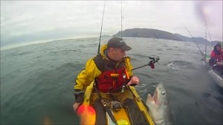 Porbeagle Shark catch and release in Malin Head Donegal Ireland estimated at 150lb [upl. by Drarehs]