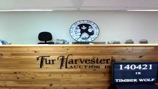 Fur Harvesters Auction Inc Live Stream [upl. by Arley]