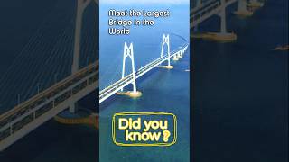 Meet the largest bridge in the world [upl. by Enoved907]