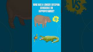 Who has a longer lifespan Crocodile or Hippopotamus quiz quiztime hippopotamus crocodile [upl. by Tersina]