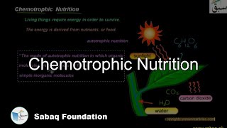 Chemotrophic Nutrition Biology Lecture  Sabaqpk [upl. by Gatias]