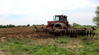 international tractor discing corn ground [upl. by Standush]