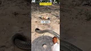 Easy Snake Trap Build Underground Snake Trap The3mostdangeroussnake yanda zaka kama maciji [upl. by Brackett743]