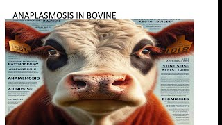 ANAPLASMOSIS A BOVINE DISEASE TICK FEVER ANAPLASMA SPP DISEASE OF RUMINANTS [upl. by Ttocs]