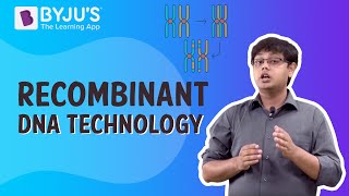 Recombinant DNA Technology Process [upl. by Skyla873]