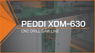 CNC Drill Saw Line  Peddi XDM630 MultiSpindle Drilling [upl. by Enelegna]