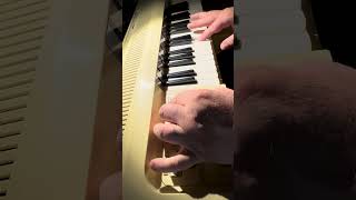 Magnus Electric Chord Organ first tryout electric organ melody chords [upl. by Nesilla882]