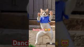 Dancing cat 🐈 🐈 cat dance cute cat funny [upl. by Harlie277]