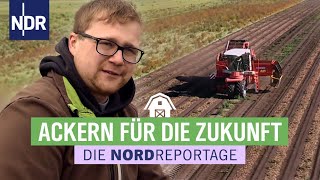 Ackern für die Zukunft  Der junge Kartoffelbauer  Die Nordreportage  NDR [upl. by Labaw]