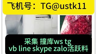 美国 加拿大 澳大利亚采集 撞库ws tg vb line skype zalo活跃料TGustk11 [upl. by Irolam]