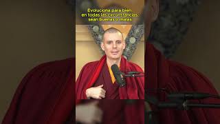 El verdadero crecimiento espiritual  Lama Rinchen reprogramatumente espiritualidad [upl. by Nemracledairam]