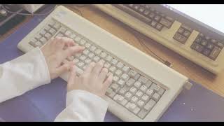 IBM Model F keyboard  quotFloss moddedquot typing ASMR [upl. by Pietra]