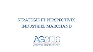 Assemblé Générale Air Liquide 2018  Stratégie et perspectives  Industriel Marchand [upl. by Enelyw]