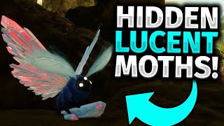 All Lucent Moth Locations Guide  Week 3 Temple of the Wrathful amp Miasma Destiny 2 [upl. by Lisle]