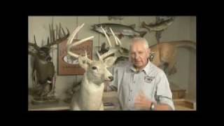 Deer Head Remount  Rinehart Taxidermy Institute Umountit [upl. by Roderich244]