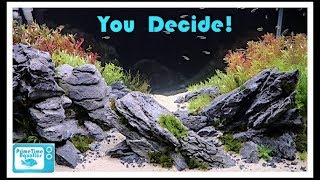 Aquatic Experience 2018 Aquascape Contest  YOU Be The Judge [upl. by Ielirol]