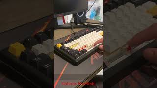 Gateron Pro Reds Vs Akko V3 Cream Yellow Pros [upl. by Alcine]