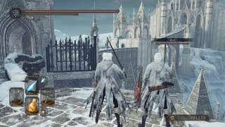 DARK SOULS II  NG5  Gefrorenes Eleum Loyce ★ Akena amp Holt [upl. by Menken]