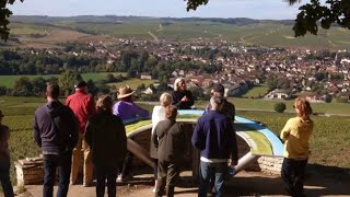 Private Tasting of Chablis Wines at the Prestigious Domaine Laroche [upl. by Anton891]