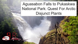 Aguasabon Falls to Pukaskwa National Park Quest For Arctic Disjunct Plants Ontario Canada [upl. by Antonetta]