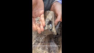 Digging Herkimer Diamonds Uncovering Herkimer Diamond Quartz matrix piece miningcrystals treasure [upl. by Gnauq]