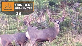 BSY  LOOKING FOR THIS GIANT MULE DEER  S1E39 [upl. by Scribner]