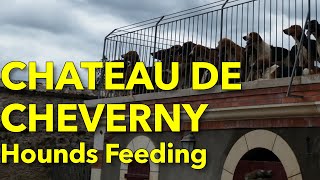 Feeding of hounds at Château de Cheverny France [upl. by Ohce336]