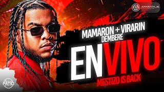 MESTIZO IS BACK  MAMARON  VIRARIN  DEMBERE EN VIVO BRUTALFILMS DJPATIOLIVE [upl. by Teferi401]