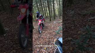 Hard enduro Sherco Bêta Gasgas Stark Varg [upl. by Anoyi]