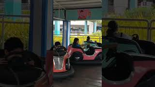 Bumper Car at Moa [upl. by Alleunam]