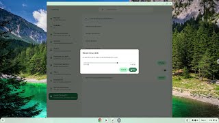 How to change the size of the Linux container on a Chromebook [upl. by Avrit]