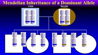 Genetics and Genetic Testing 101 Lecture  Mayo Clinic [upl. by Lilian]