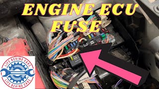 Citroen Berlingo Diesel 2013 Engine Ecu Fuse Location [upl. by Hailed196]