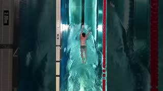 Easy and efficient freestyle swimming 🏊‍♂️ swimming [upl. by Fayola]