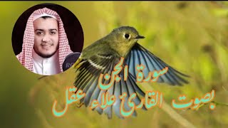 سورة الجن بصوت القارئ علاء عقل ahmadamer25214 [upl. by Zilef]