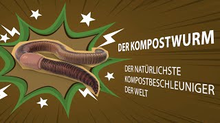 Kompostwürmer  Bioabfall schnell in Humus umwandeln [upl. by Annaeed]