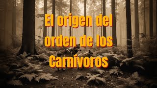 El origen del orden de los Carnívoros  Cane Corso [upl. by Ttcos]