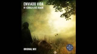 Enviado Vida  If I Could Live Again Original Mix [upl. by Ttreve]